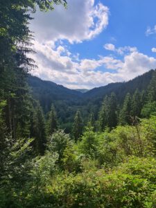 Blick in die Eifel