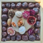 Naturmandala