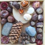 Naturmandala