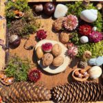 Naturmandala