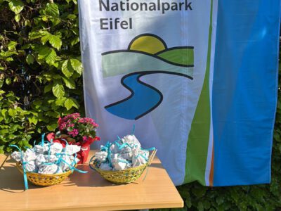 Wir sind Nationalparkschule!