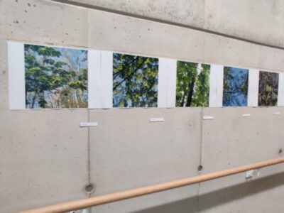 Fotoprojekt der BPS und der O1